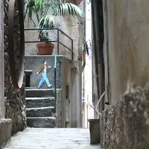 Guardando Le Stelle , Vernazza Italie